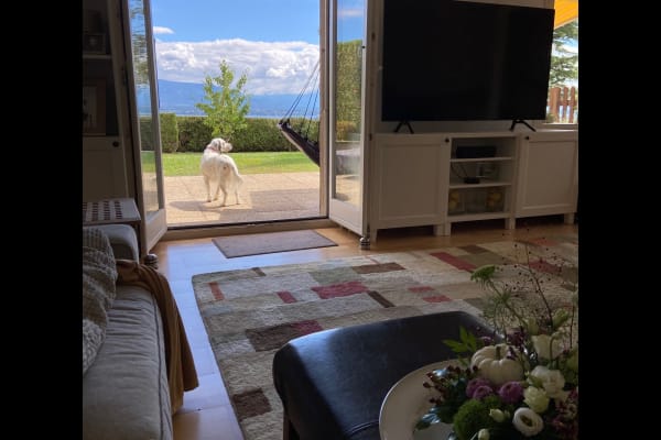 House sit in Chavannes de Bogis, Switzerland