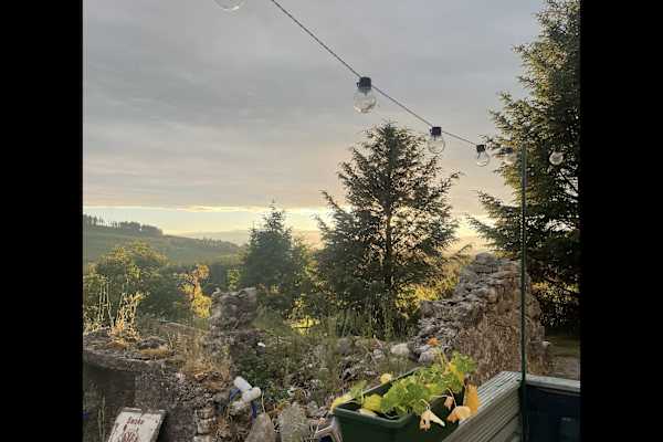 House sit in Blessington, Ireland