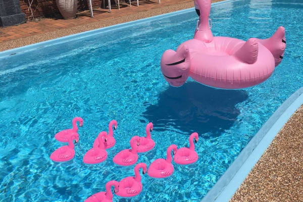 House sit in Orchard Hills, NSW, Australia