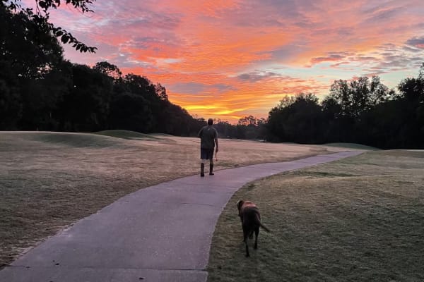 House sit in Pace, FL, US