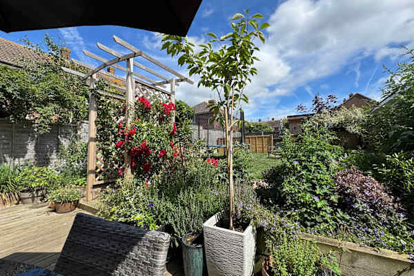 House sit in Whitstable, United Kingdom