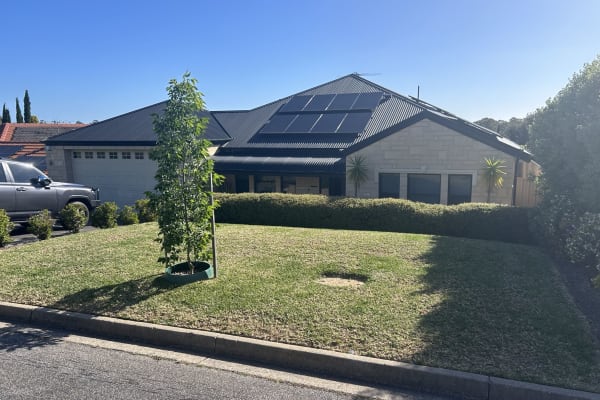 House sit in Adelaide, SA, Australia