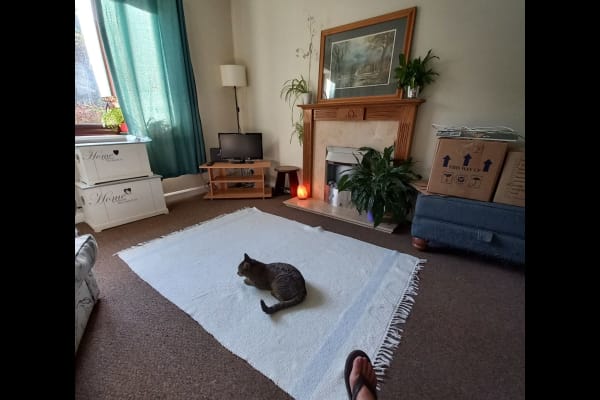 House sit in Ely, United Kingdom