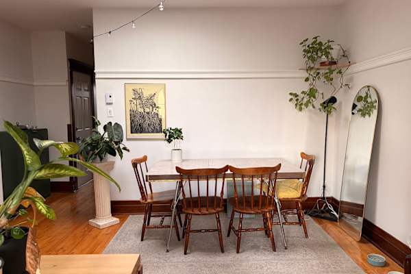 House sit in Montréal, QC, Canada