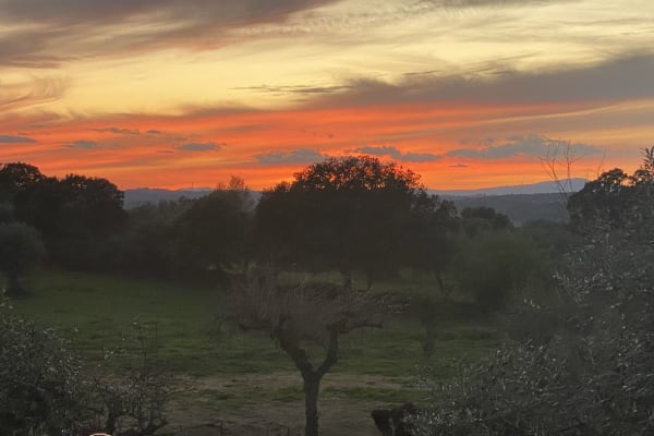 House sit in Idanha-a-Nova, Portugal