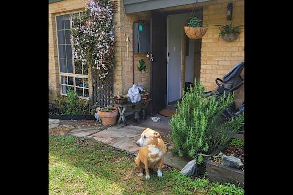 House sit in Mundaring Weir, WA, Australia