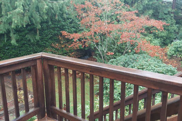 House sit in Edmonds, WA, US
