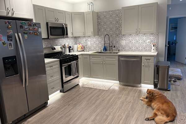 House sit in San Francisco, CA, US