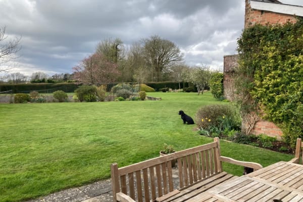 House sit in Winchester, United Kingdom