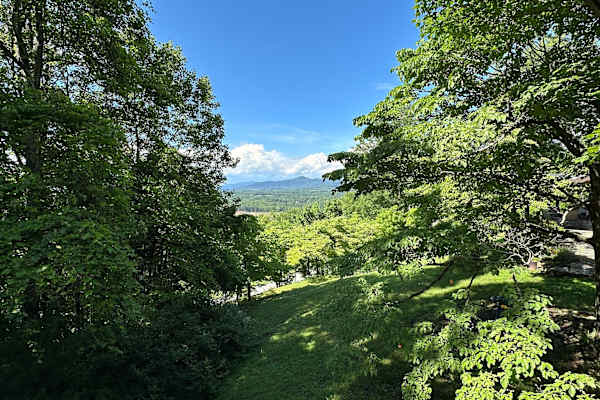 House sit in Roanoke, VA, US