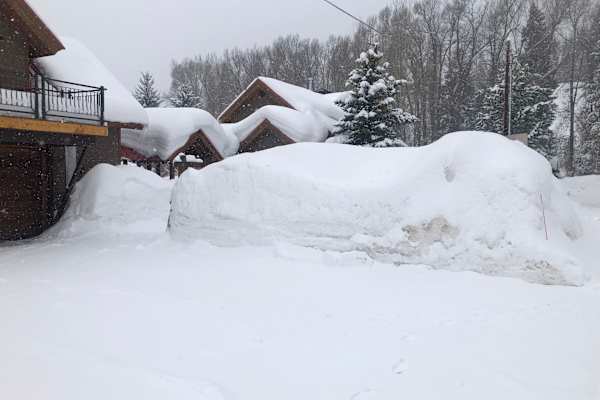 House sit in Wilson, WY, US