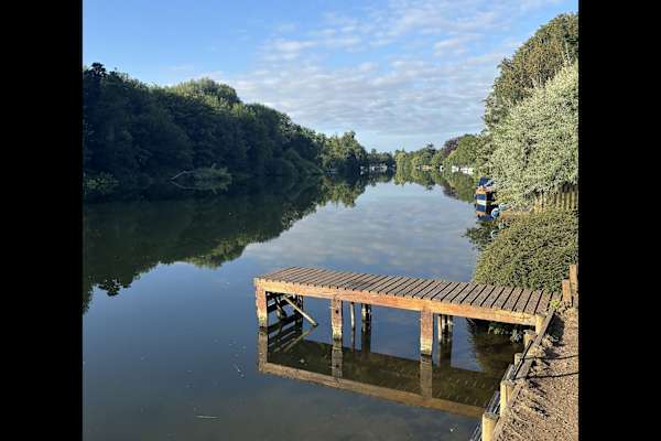 House sit in Maidenhead, United Kingdom