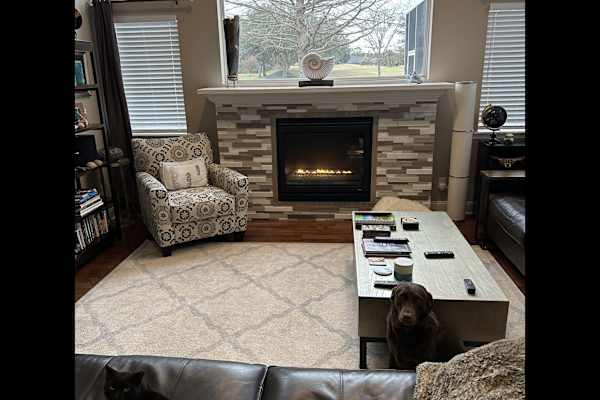 House sit in Jacksonville, FL, US
