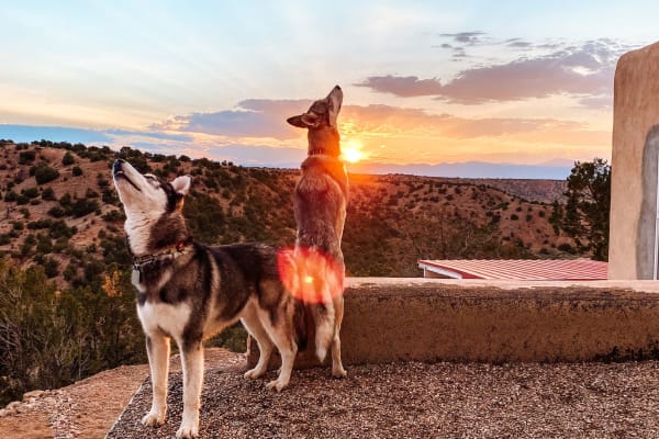 House sit in Santa Fe, NM, US