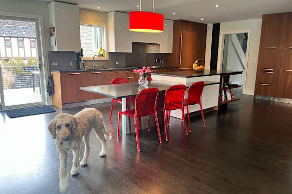 House sit in Rye, NY, US