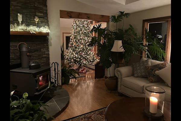 House sit in Stafford, CT, US