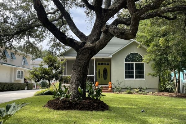 House sit in Myrtle Beach, SC, US