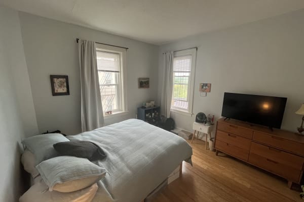 House sit in Adams Morgan, Washington, D.C., US