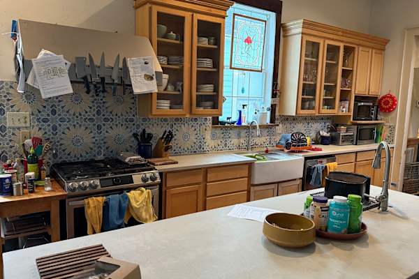House sit in New Orleans, LA, US