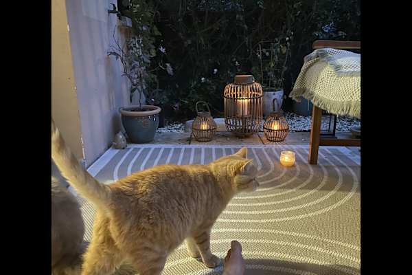 House sit in Autun, France