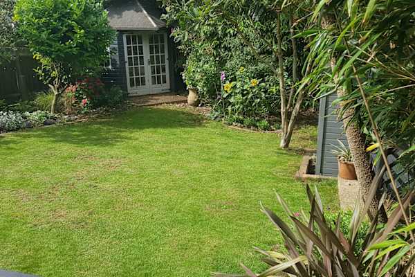 House sit in Hove, United Kingdom