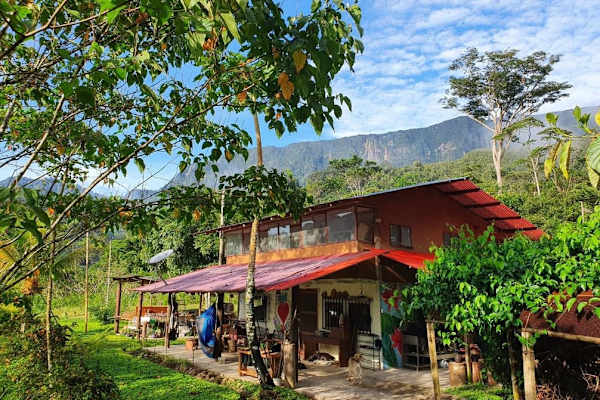 House sit in Tarapoto, Peru