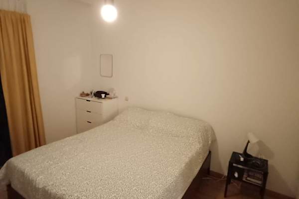 House sit in Ixelles, Belgium