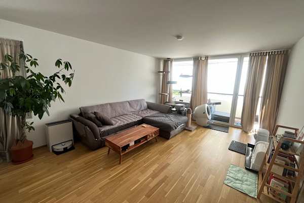 House sit in Zürich, Switzerland