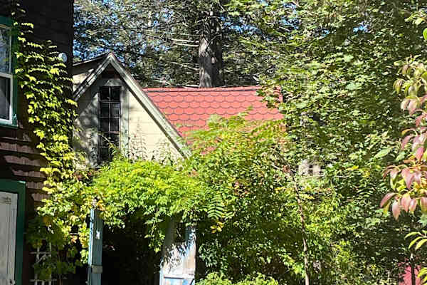 House sit in Boston, MA, US
