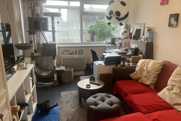 House sit in Wanstead, United Kingdom