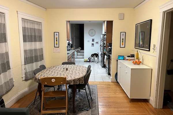 House sit in Albany, CA, US