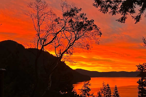 House sit in Eastsound, WA, US