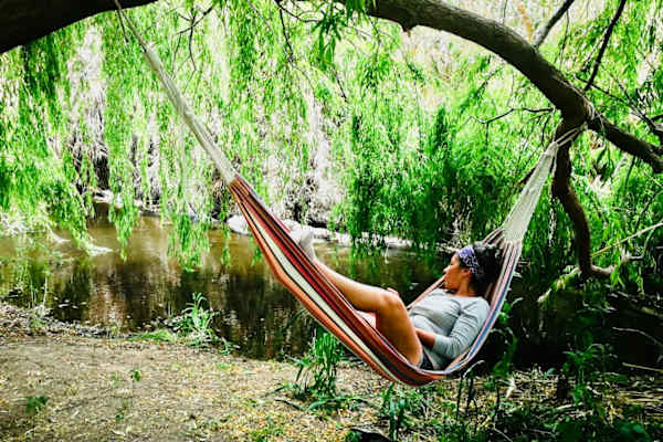 House sit in Ovalle, Chile