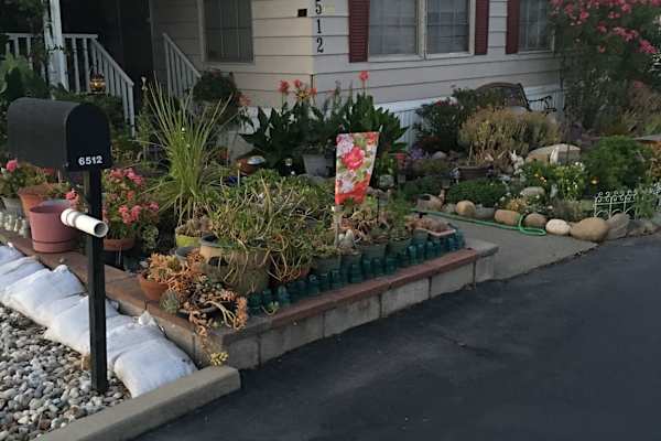 House sit in Sacramento, CA, US