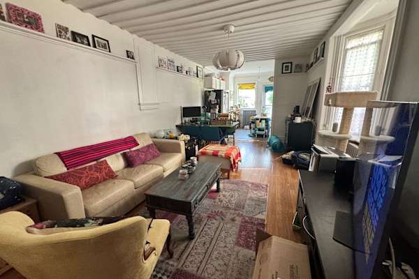 House sit in Toronto, ON, Canada