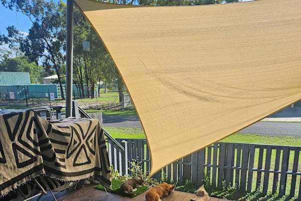 House sit in Dysart, QLD, Australia