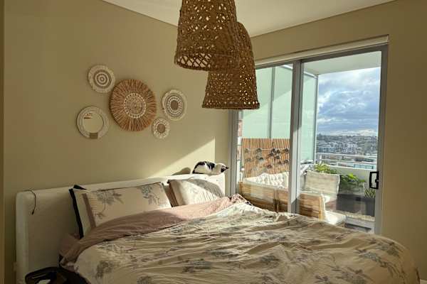 House sit in Sydney, NSW, Australia