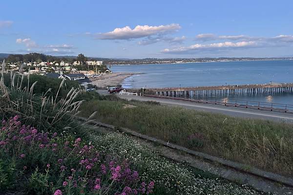 House sit in Capitola, CA, US