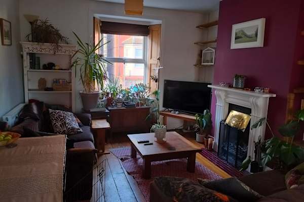 House sit in Corwen, United Kingdom
