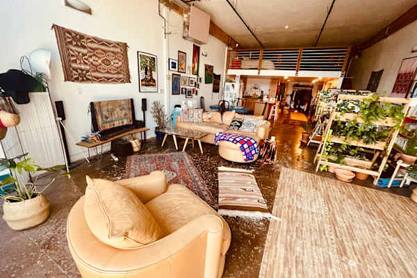 House sit in Oakland, CA, US