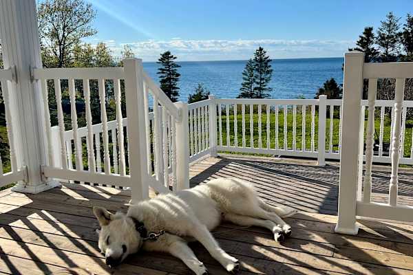 House sit in Sainte-Anne-des-Monts, QC, Canada