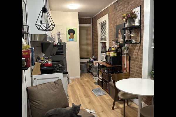 House sit in Manhattan, NY, US