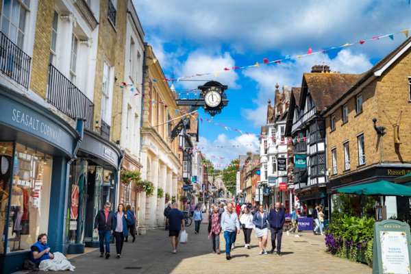 House sit in Winchester, United Kingdom