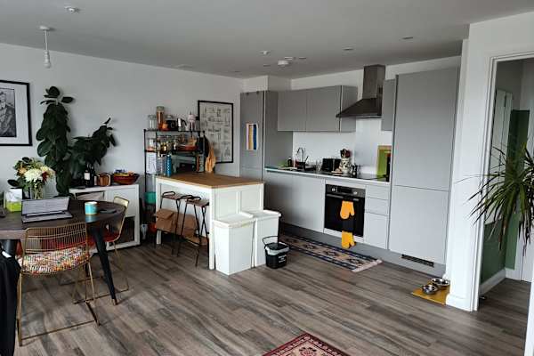 House sit in London, United Kingdom