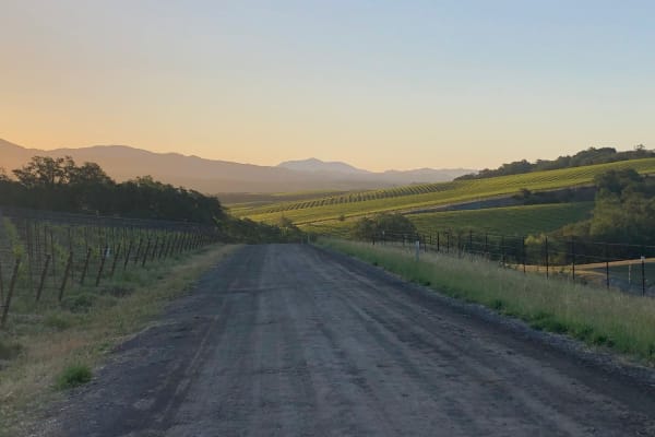 House sit in Cloverdale, CA, US