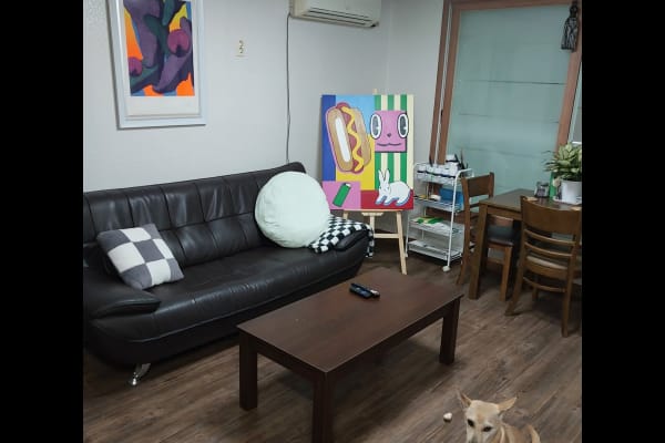 House sit in Busan, South Korea