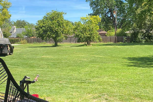 House sit in Carmichael, CA, US