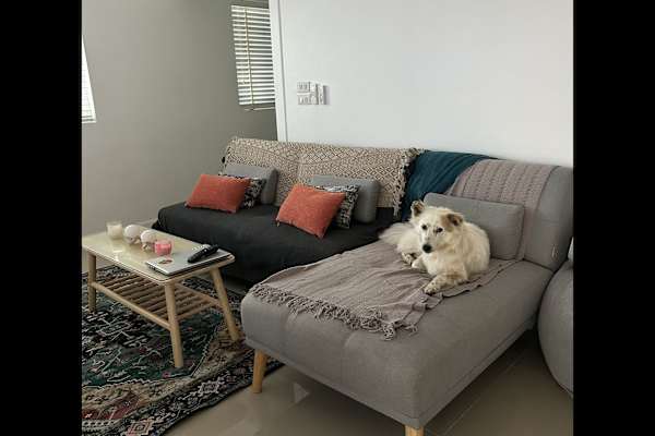 House sit in Hua Hin, Thailand