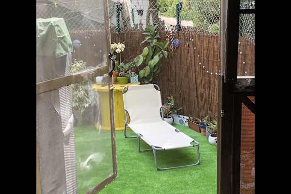 House sit in Mijas, Spain