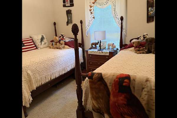 House sit in Black Mountain, NC, US